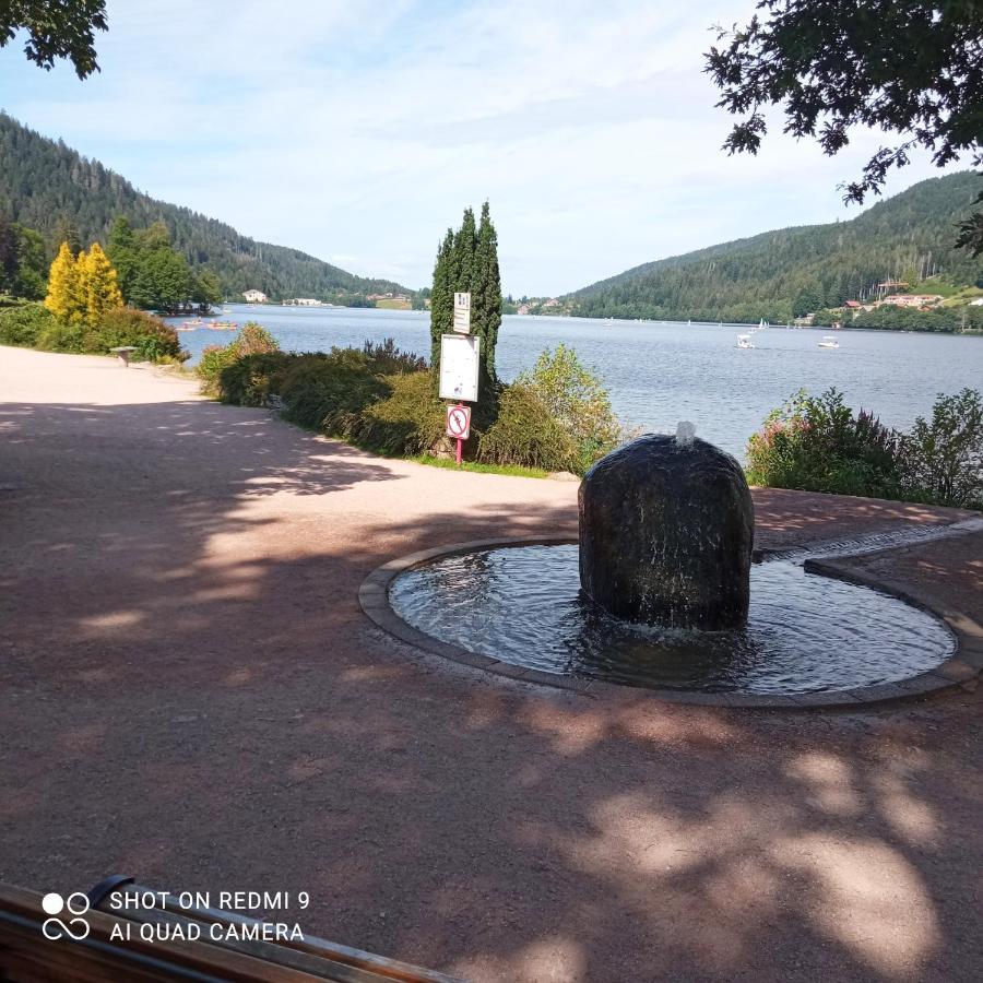Appartement Les Balcons De La Chalande Le Tholy Gerardmer, Jardin,Balcon, Terrasse, Exterior photo